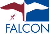 Falcon Falcon