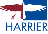Harrier Harrier